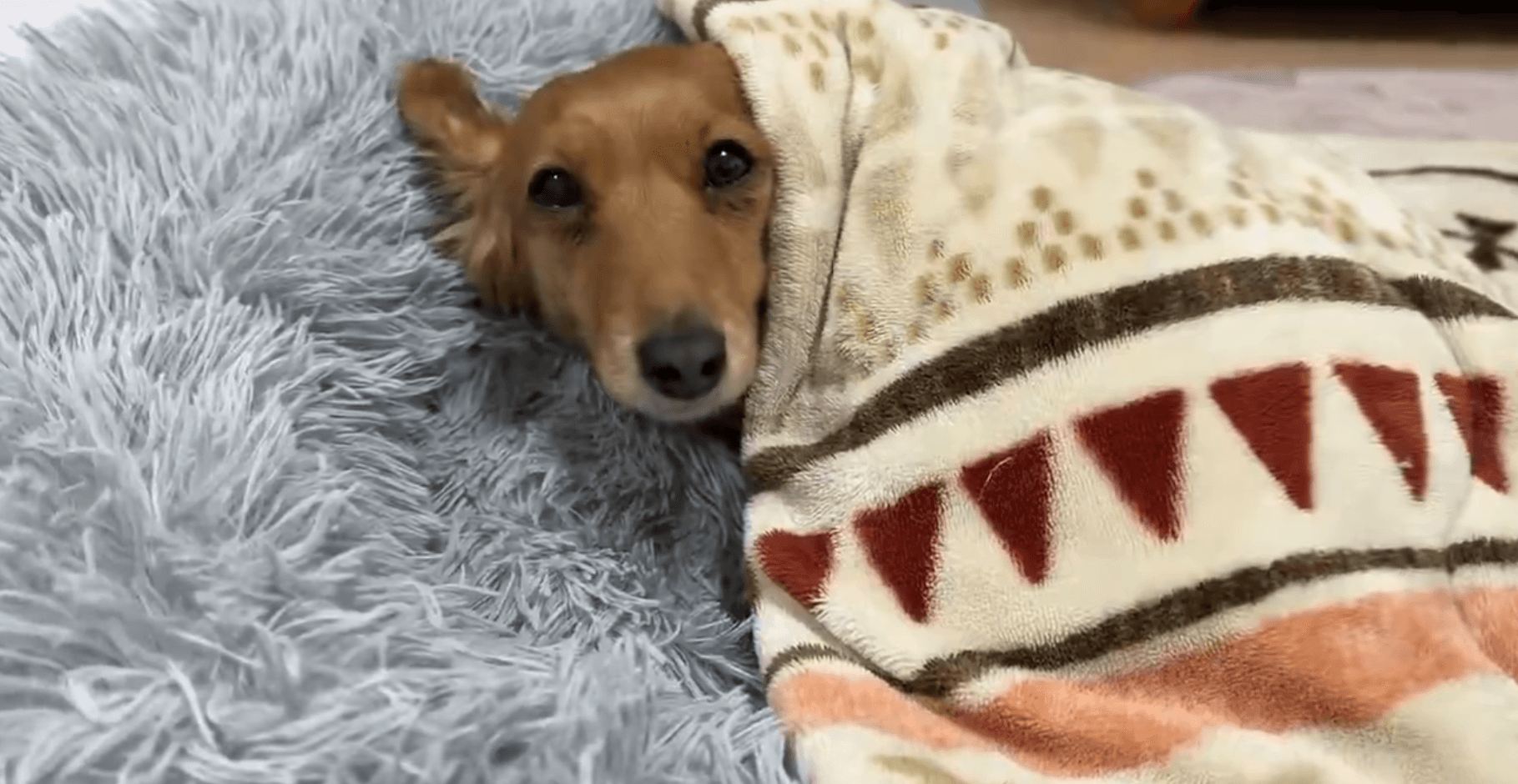 包んでもらえました