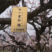 話題となったれお＠ＫＡＭＰＦＥＲさんの投稿の写真（れお＠ＫＡＭＰＦＥＲさん提供）