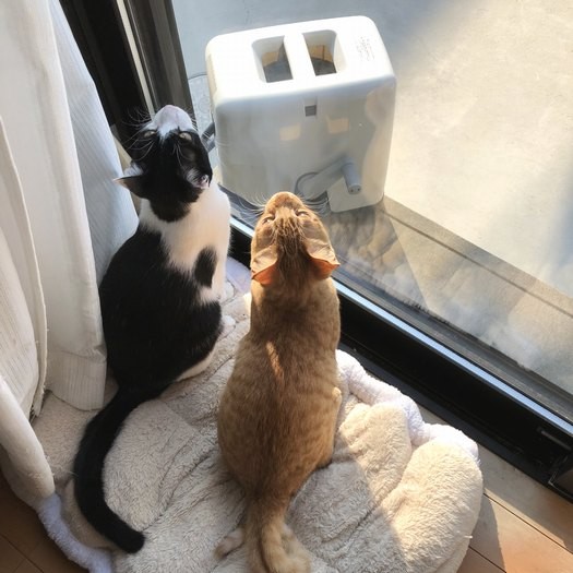 「外の世界のこと、忘れちゃったね」