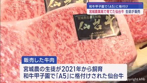 和牛甲子園で「Ａ５」格付け仙台牛　育てた宮城農業高の生徒が自ら販売　宮城・岩沼