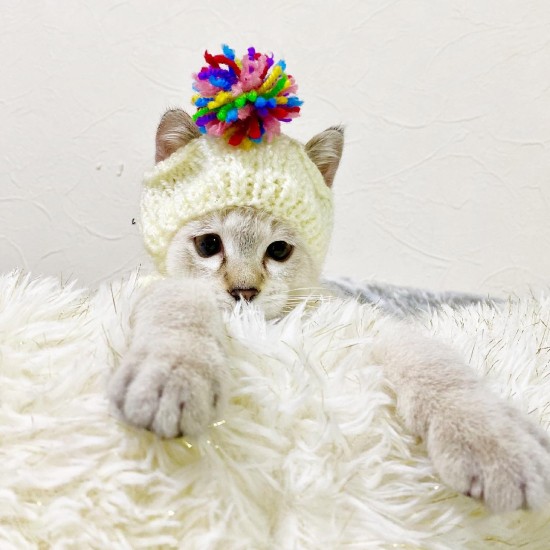 あどけない表情のラキちゃん