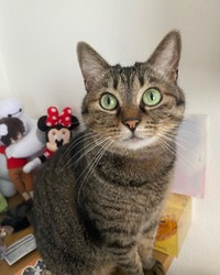 パソコンしていないで遊ぼうよ