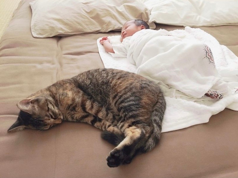 はじめは赤ちゃんに興味を示したが、次第にヤキモチの対象に……（いつかさん提供）