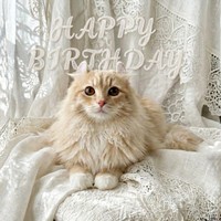 4月7日で1歳を迎えたチロルくん（画像提供：ちゃろこさん）