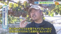 キウイボム／中野裕史郎 代表取締役