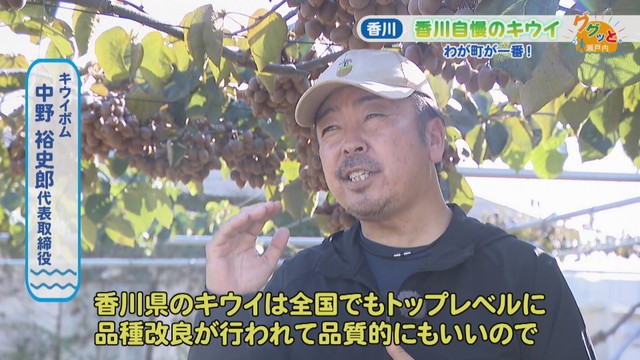 キウイボム／中野裕史郎 代表取締役