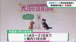 「犬議選（けんぎせん）」で宮城県議選の投票率アップを　選挙管理委員会の取り組み