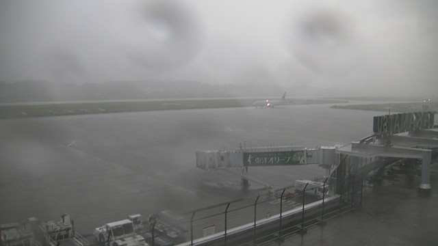 高松空港　16日　午後5時ごろ