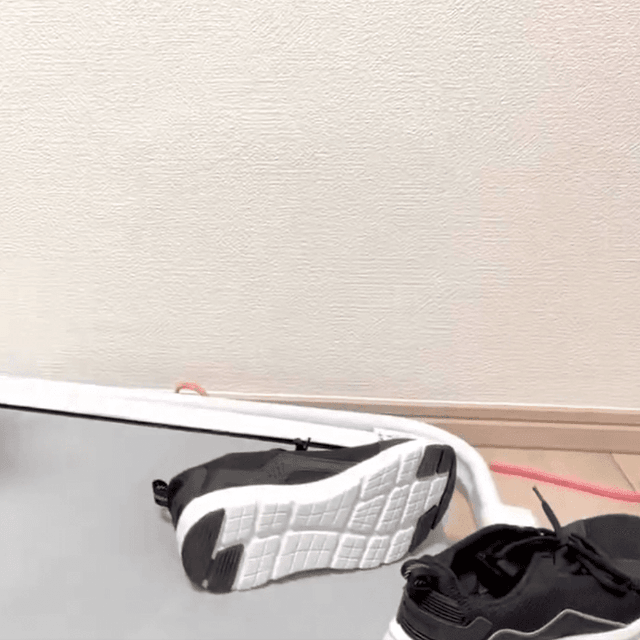 パンチを受けゆれるスニーカーに2匹ともビクッ！（なごさん提供）