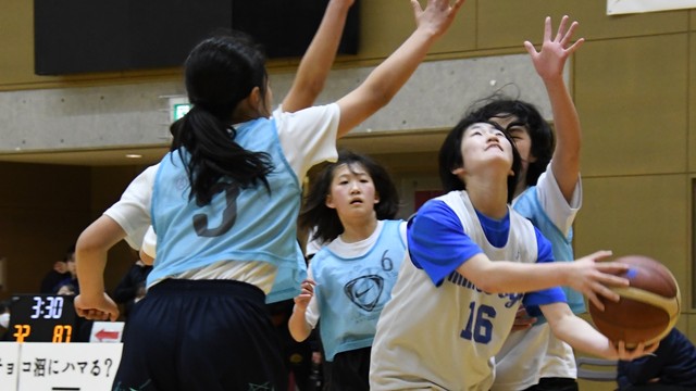 ミニドッグス―越谷アルファーズ