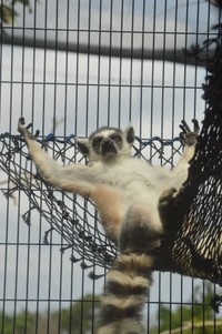 何とも気持ちよさそうな表情