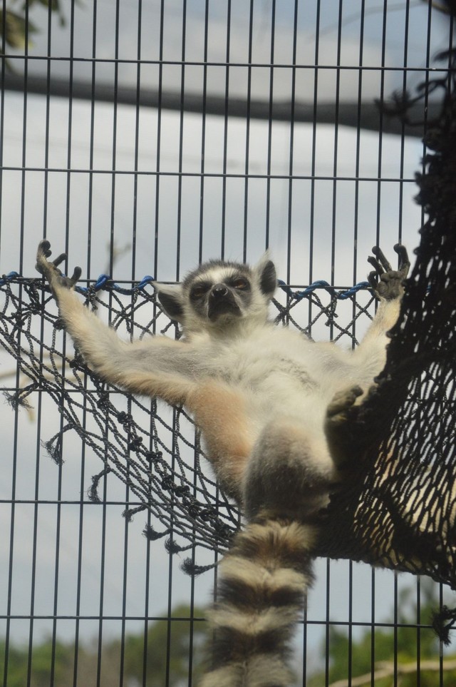 何とも気持ちよさそうな表情