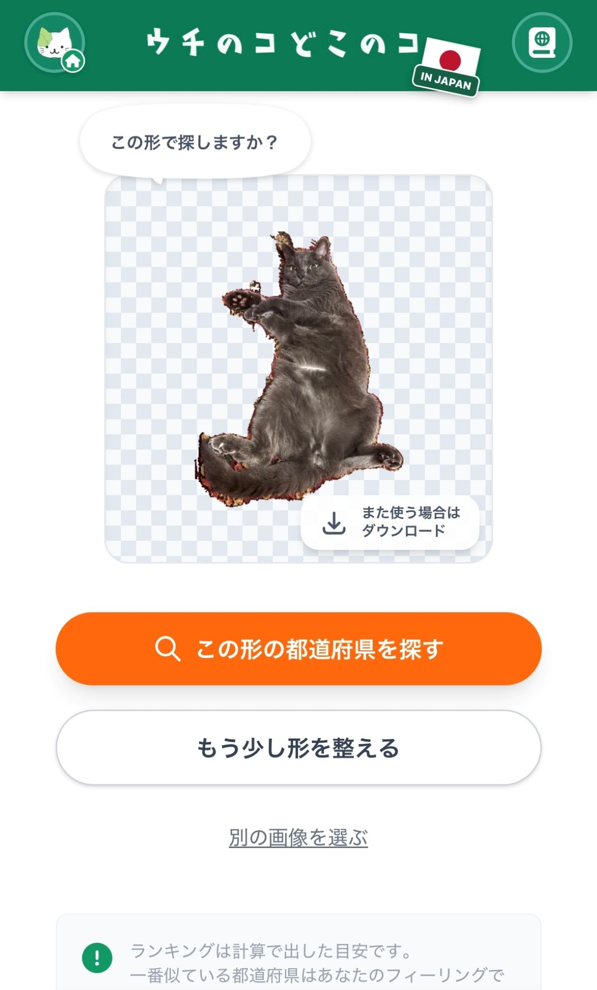 猫写真で県判定！「ウチのコどこのコ」で遊ぶ提案