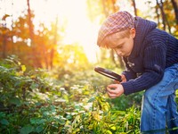 ダニ全体からみればその90%以上が人間にとって無害な種であり、自然の生態系のなかにあって大切な役割を果たしている。