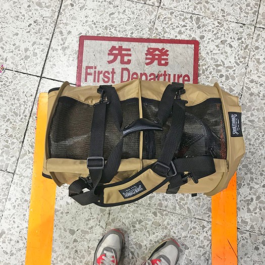 電車移動は便利なのだけど（なかにモカが入ってます）