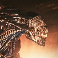 放射能汚染されたエビ、食べるとエイリアンになる可能性あり！？