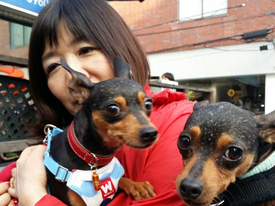 保護犬・ハンターと一騎の「過去」 正式譲渡の日に聞いたこと