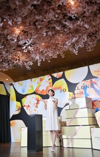 　天井の桜のオブジェを見つめる倉科カナ（撮影・西岡正）