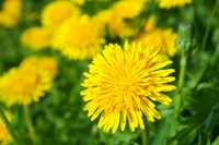 画像はイメージです（Elena Odareeva／stock.adobe.com）