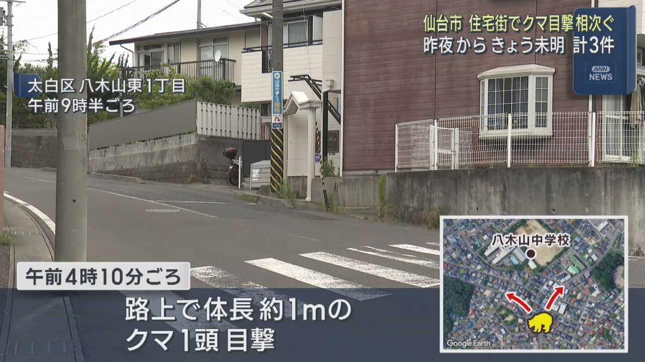 仙台市の住宅街でクマ目撃情報が相次ぐ