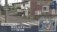 仙台市の住宅街でクマ目撃情報が相次ぐ