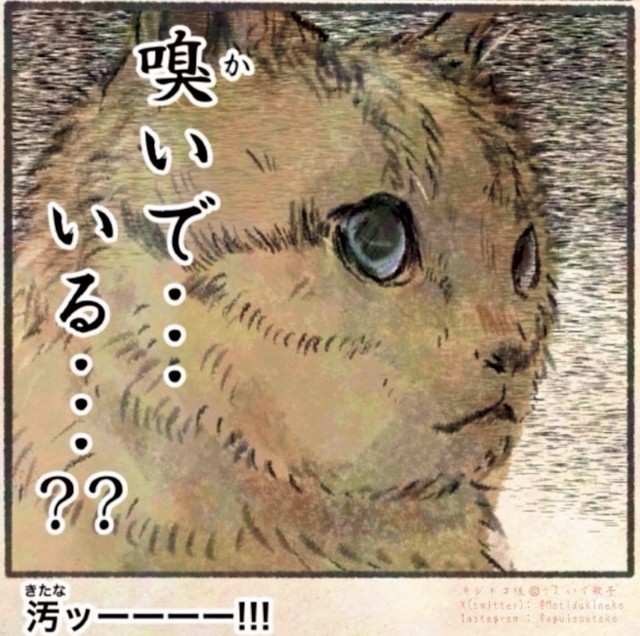 口の中に入れた指を嗅いでいる人の様子を見ているキジネコ様　©Uguisu Utako