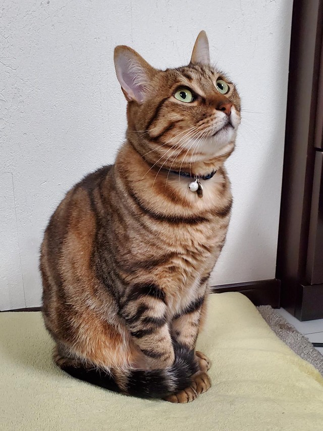 遊ぼうよ！＝渡邉さん提供