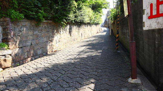 外見はごくふつうの坂道・愛染坂