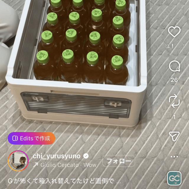 4.段ボール箱をはずすと、ピッタリおさまって快感（ちいさん提供）