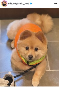 水野良樹インスタグラム＠mizunoyoshiki_tekeより