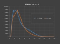 X線の吸収量に明瞭な違いが（有限会社ホワイトラビット提供）