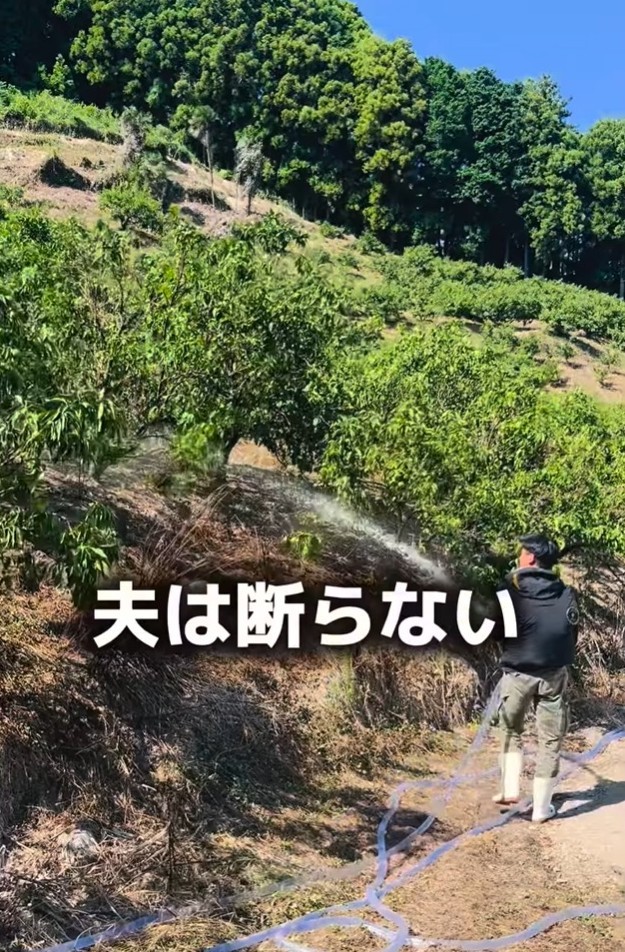 地域で畑をやめる農家から「引き継いでほしい」と頼まれると、経営的に苦しくなると分かっていても夫は断れなかった（「みかん家族｜愛媛の柑橘農家」さん提供、Instagramよりキャプチャ撮影）
