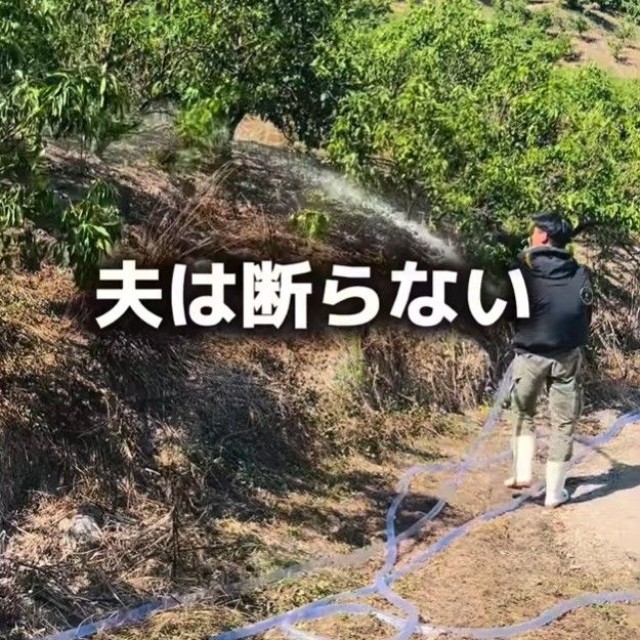 地域で畑をやめる農家から「引き継いでほしい」と頼まれると、経営的に苦しくなると分かっていても夫は断れなかった（「みかん家族｜愛媛の柑橘農家」さん提供、Instagramよりキャプチャ撮影）