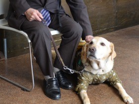 盲導犬ユアロ、８年間ありがとう　「パートナー」に感謝の別れ