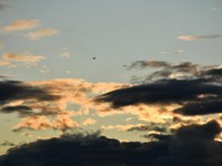 生き延びるために必要なものも心の備えも、備えはすればするだけ良い