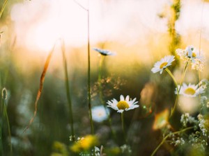 暮らしの中にある会社。仕事と暮らしが溶け合う、心を寄せ合う場所