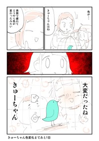 【漫画】『【閲覧注意】ともだちに不死鳥を逃がされた話』12（ぬこー様ちゃんさん提供）