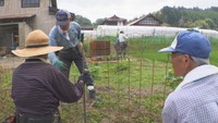 農家が「サル除けの電気柵」を設置