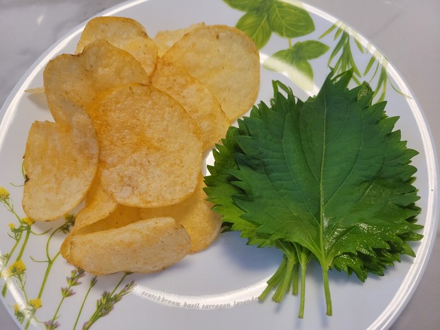 大葉×ポテチ。筆者も試してみました