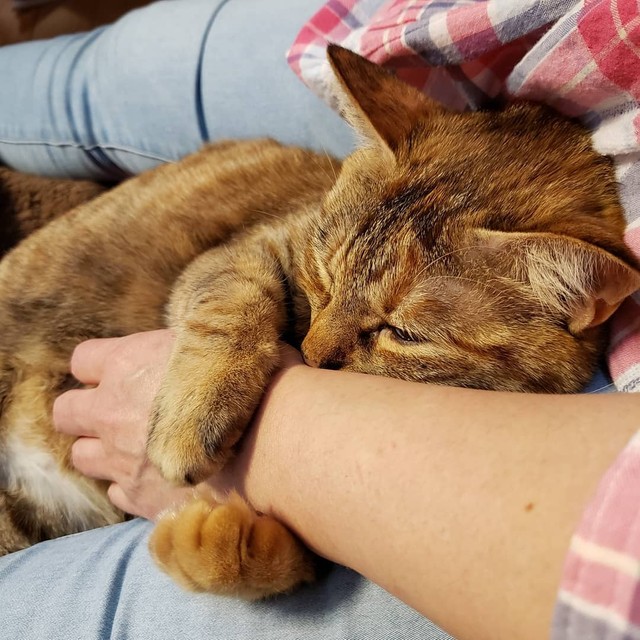 ママの足の上で甘える