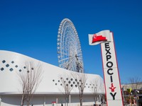 生きものを間近で観察できると人気の施設「ニフレル」（Loco - stock.adobe.com）