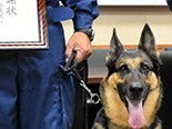 警察犬ブランカ号とタギラ号、山林で倒れていた男性を発見！