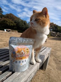 備中松山城の猫城主「さんじゅーろー」と発売されたスープ／提供：高梁市観光協会