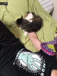 飼い主さんの腕に巻きつきに来るヤマダくん。うらやまし過ぎる♡（提供：丸山カネキリカさん）