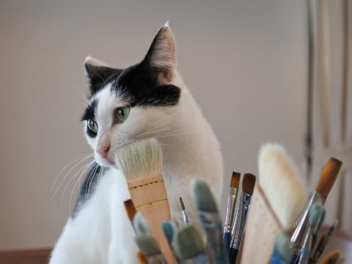 頰を筆でサワサワ（mimoeさん提供）