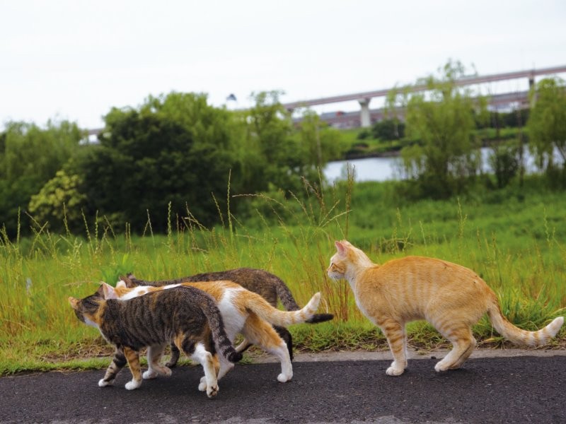 「前にいっぱいおる、どないしよ」沖さんが中学時代を思い出したという1枚　（沖昌之　撮影 / 大和書房　提供）　