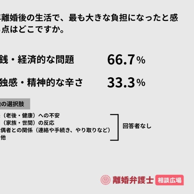 熟年離婚後の生活で、最も大きな負担になったと感じる点はどこですか（出典：離婚弁護士相談広場）