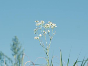 周りの目を気にしなければ、私は一度でもあの子に会えたかもしれない