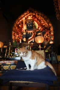 「厄除け大不動」の前で