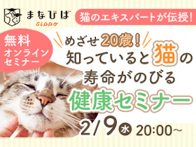 【参加者募集】 知っていると愛猫の寿命がのびる　猫の専門医による健康セミナー